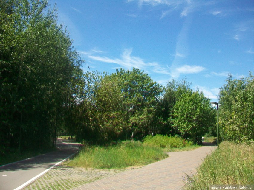 Наш парк летом — Игровые куклы разных производителей (Разное): редкие бренды (фото 7)