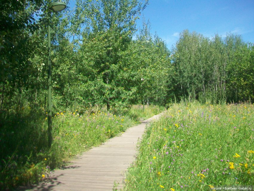 Наш парк летом — Игровые куклы разных производителей (Разное): редкие бренды