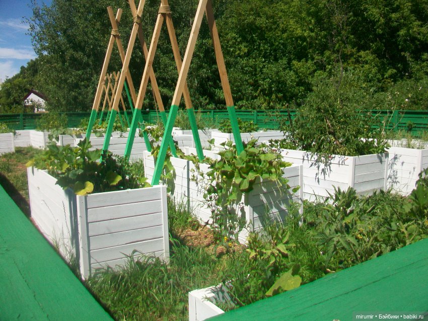 Наш парк летом — Игровые куклы разных производителей (Разное): редкие бренды