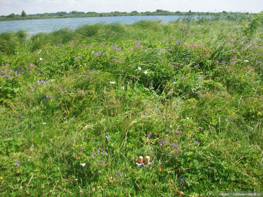 Дача.Июль - 2024 — Игровые куклы разных производителей (Разное): редкие бренды