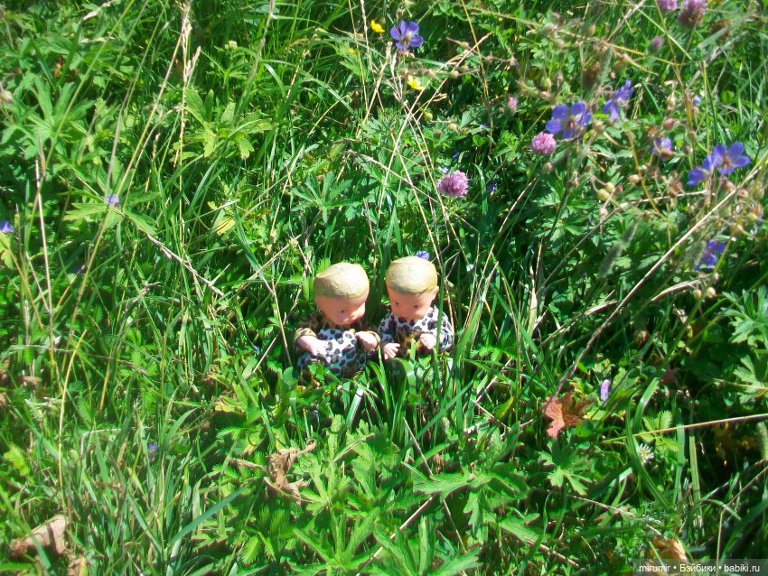 Дача.Июль - 2024 — Игровые куклы разных производителей (Разное): редкие бренды