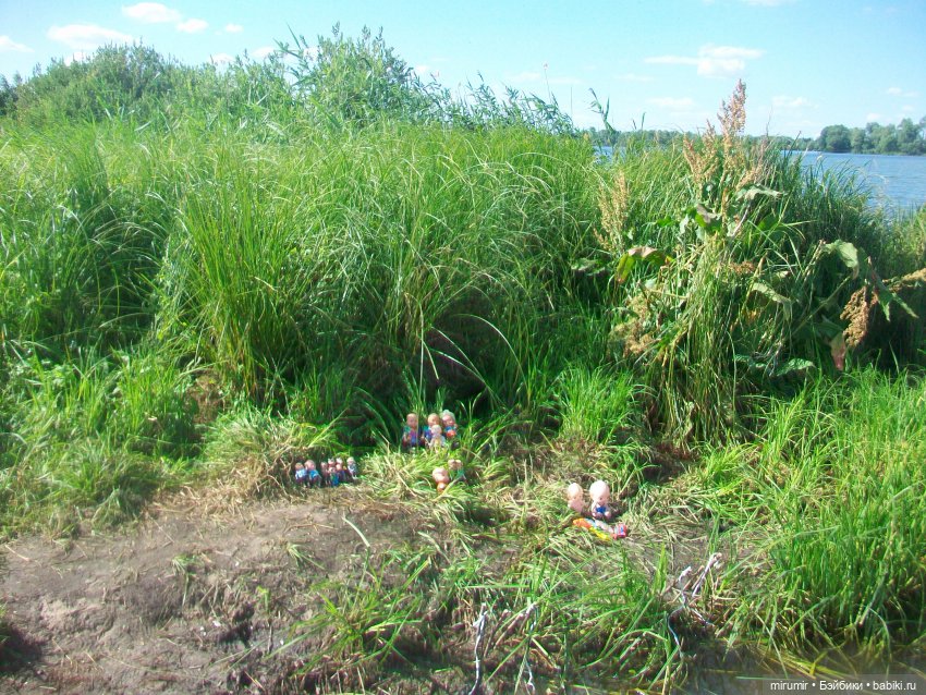 Дача.Июль - 2024 — Игровые куклы разных производителей (Разное): редкие бренды