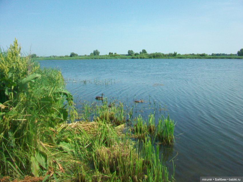 Дача.Июль - 2024 — Игровые куклы разных производителей (Разное): редкие бренды (фото 8)