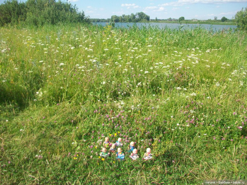 Дача.Июль - 2024 — Игровые куклы разных производителей (Разное): редкие бренды