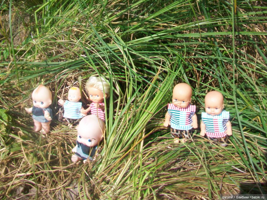 Дача.Июль - 2024 — Игровые куклы разных производителей (Разное): редкие бренды (фото 5)