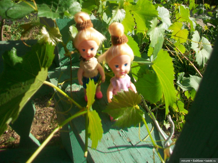 Дача.Июль - 2024 — Игровые куклы разных производителей (Разное): редкие бренды