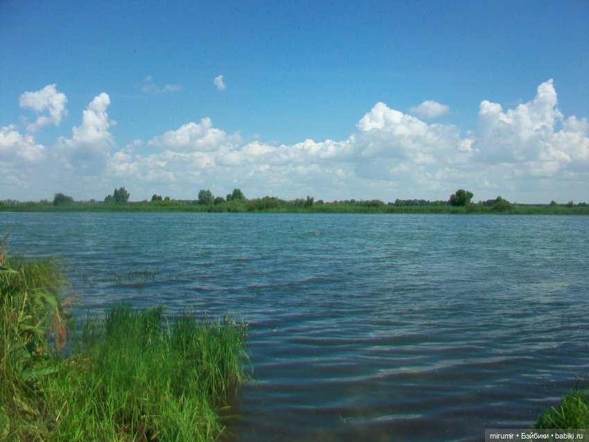 Дача.Июль - 2024 — Игровые куклы разных производителей (Разное): редкие бренды