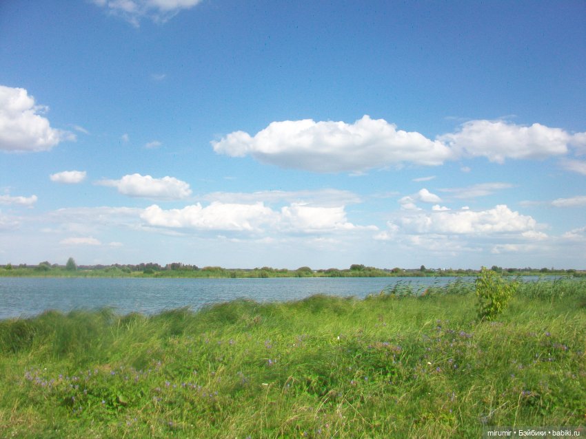 Дача.Июль - 2024 — Игровые куклы разных производителей (Разное): редкие бренды