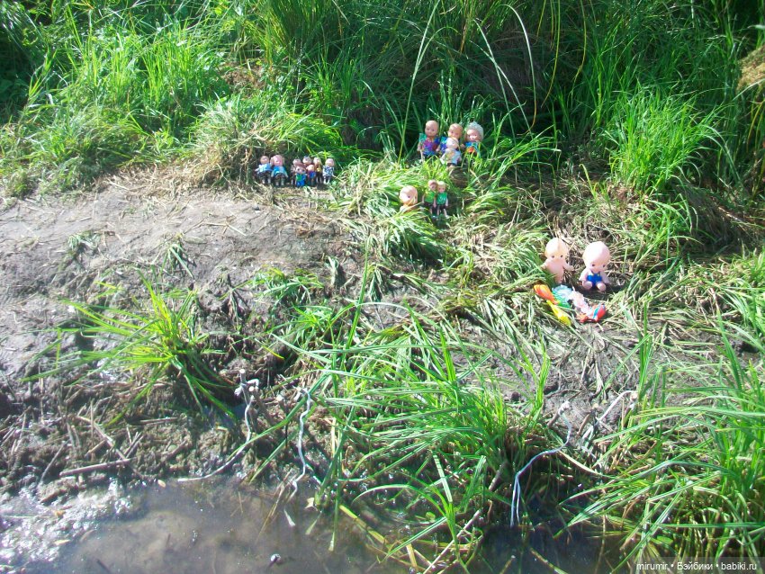 Дача.Июль - 2024 — Игровые куклы разных производителей (Разное): редкие бренды