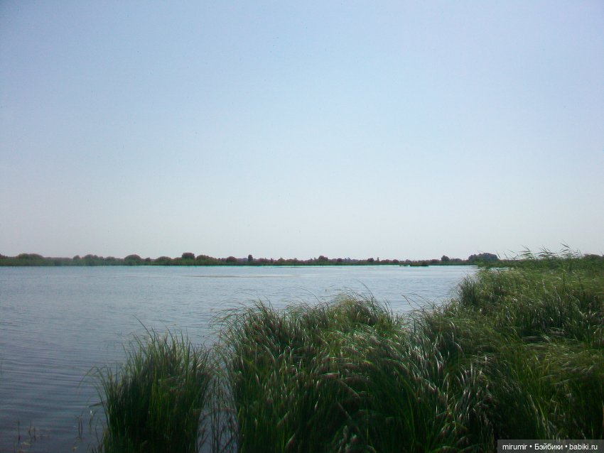 Дача.Июль - 2024 — Игровые куклы разных производителей (Разное): редкие бренды (фото 3)