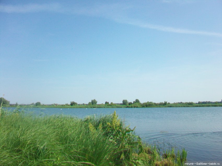 Дача.Июль - 2024 — Игровые куклы разных производителей (Разное): редкие бренды (фото 2)