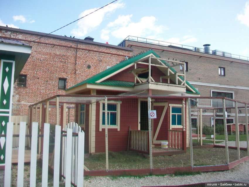 Старо-татарская слобода — Туризм и путешествия: фотоотчеты из поездок