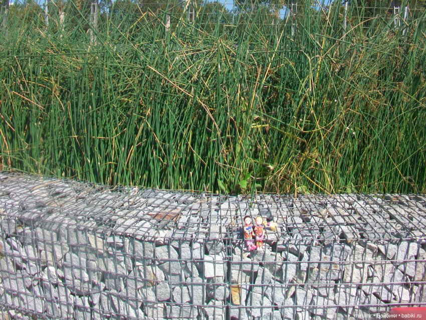 Озеро Кабан в Казани и то, что рядом с ним находится