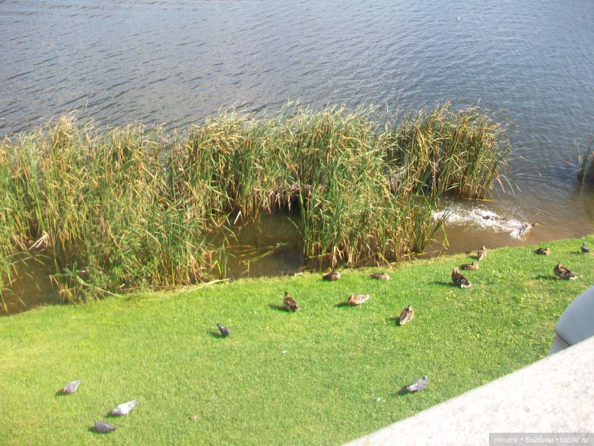 Озеро Кабан в Казани и то, что рядом с ним находится (фото 3)