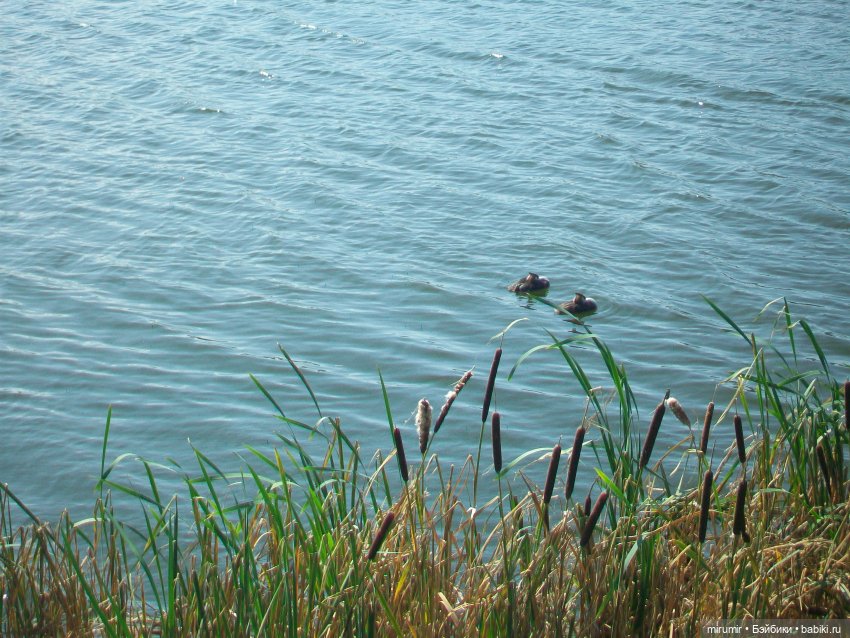 Озеро Кабан в Казани и то, что рядом с ним находится