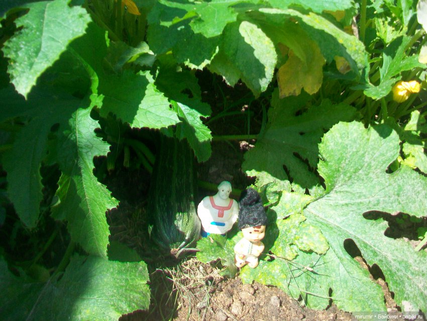 Дача.Август - 2024 — Игровые куклы разных производителей (Разное): редкие бренды