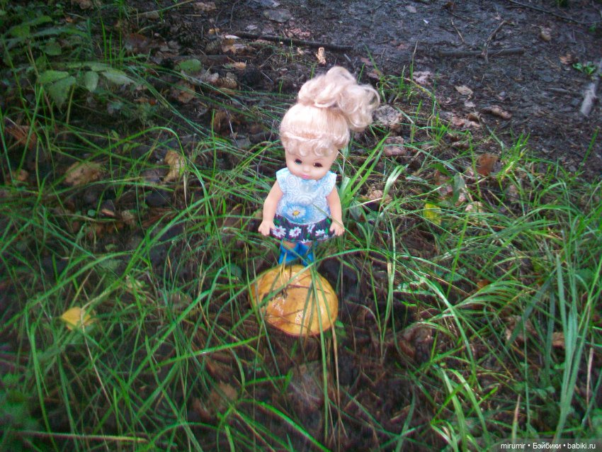 Дача.Август - 2024 — Игровые куклы разных производителей (Разное): редкие бренды (фото 4)