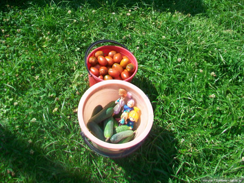 Дача.Август - 2024 — Игровые куклы разных производителей (Разное): редкие бренды