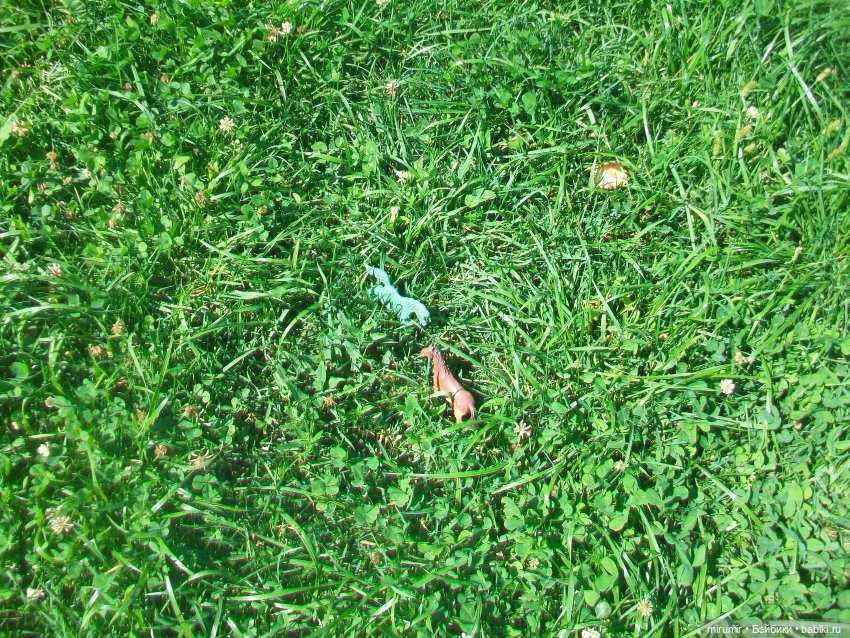 Дача.Август - 2024 — Игровые куклы разных производителей (Разное): редкие бренды