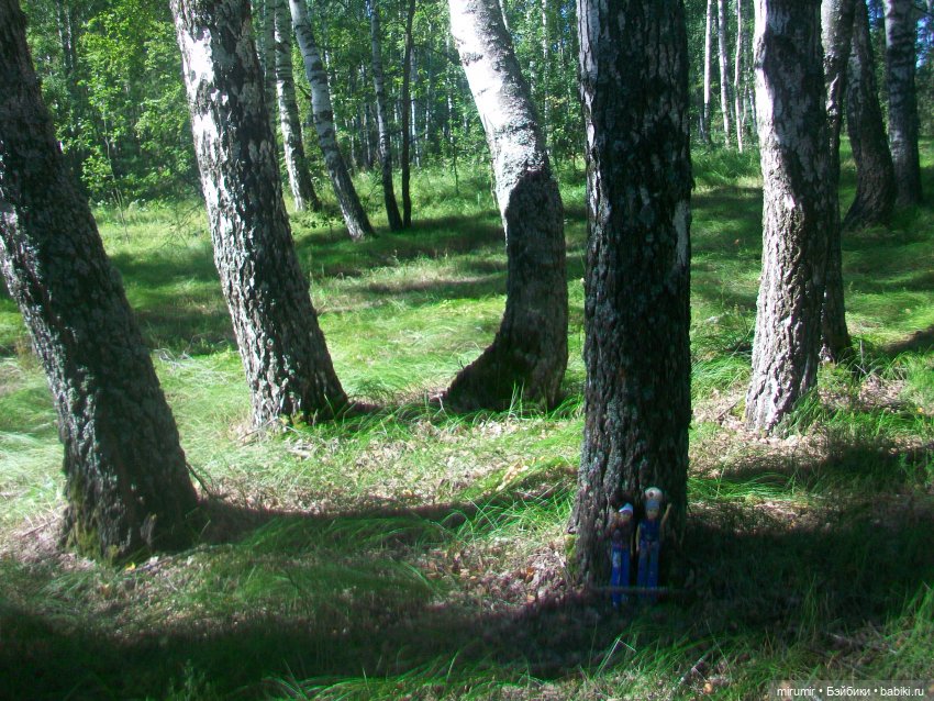 Дача.Август - 2024 — Игровые куклы разных производителей (Разное): редкие бренды (фото 7)