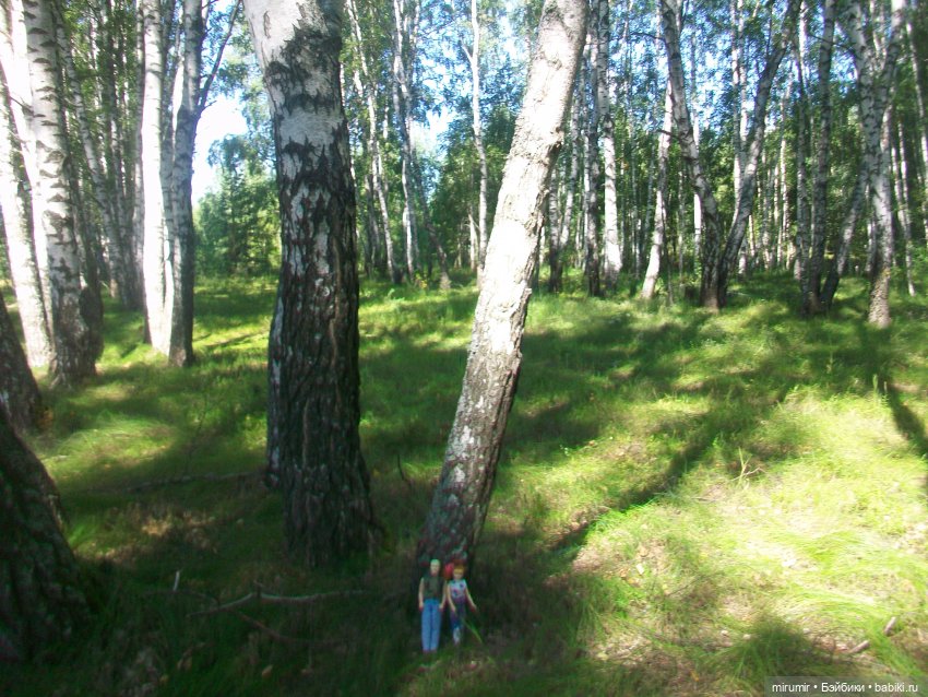 Дача.Август - 2024 — Игровые куклы разных производителей (Разное): редкие бренды (фото 5)