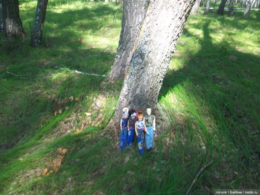 Дача.Август - 2024 — Игровые куклы разных производителей (Разное): редкие бренды