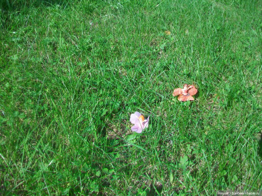 Дача.Август - 2024 — Игровые куклы разных производителей (Разное): редкие бренды