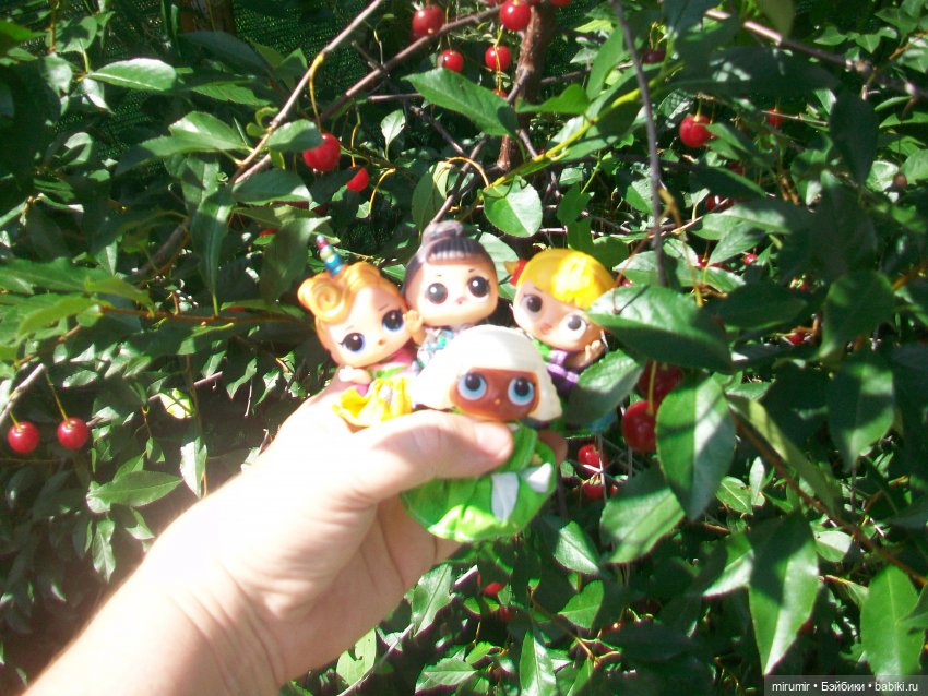 Дача.Август - 2024 — Игровые куклы разных производителей (Разное): редкие бренды