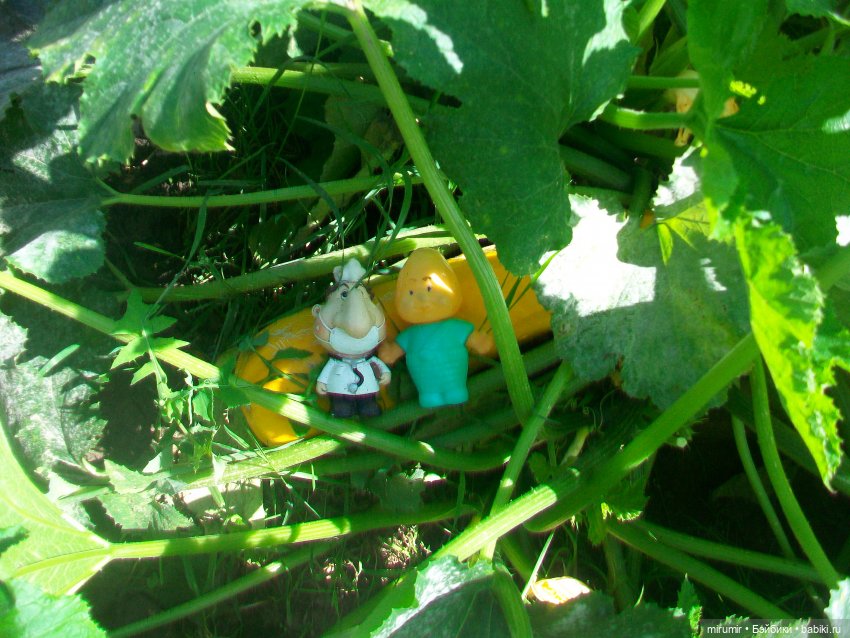 Дача.Август - 2024 — Игровые куклы разных производителей (Разное): редкие бренды