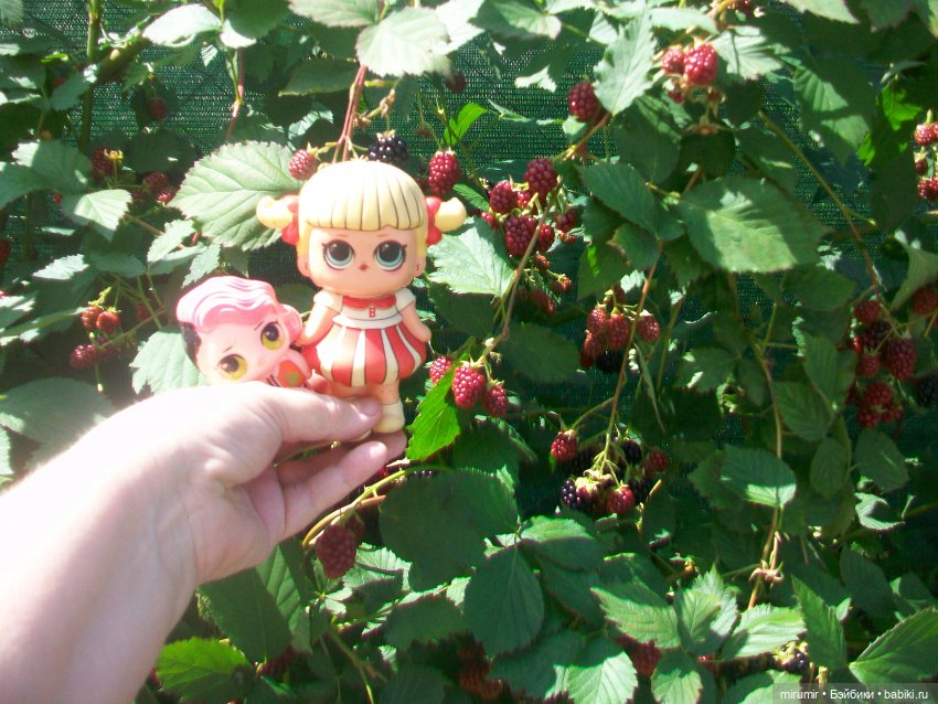 Дача.Август - 2024 — Игровые куклы разных производителей (Разное): редкие бренды