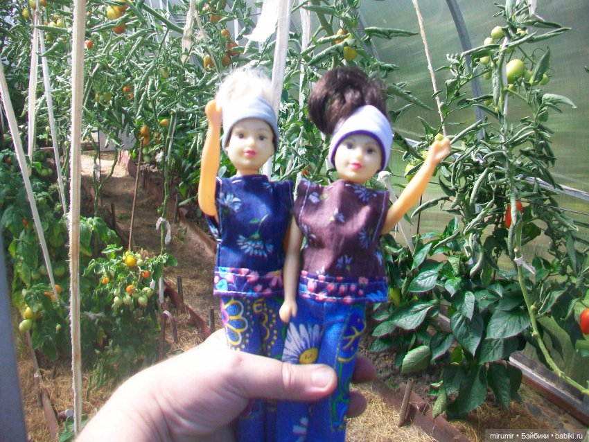 Дача.Август - 2024 — Игровые куклы разных производителей (Разное): редкие бренды