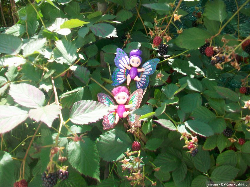 Дача.Август - 2024 — Игровые куклы разных производителей (Разное): редкие бренды