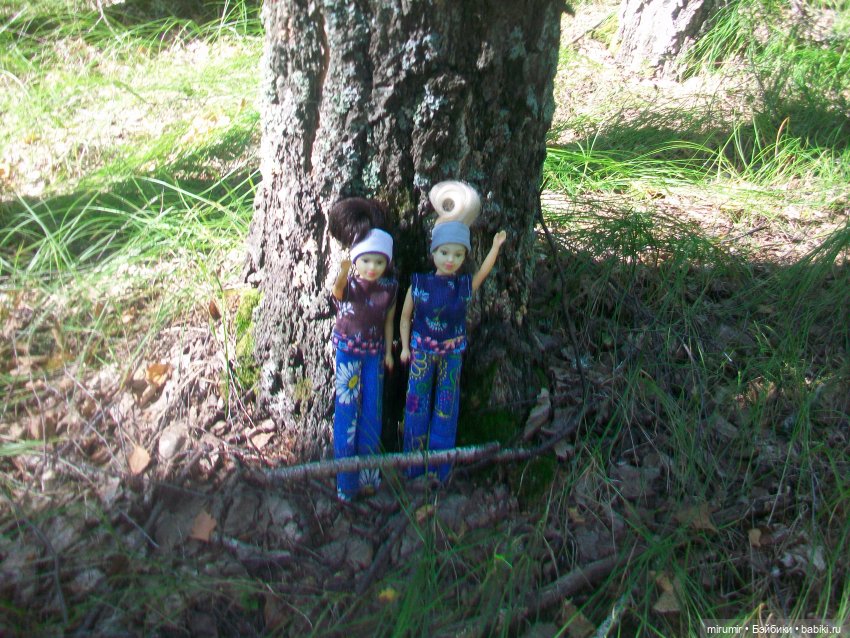 Дача.Август - 2024 — Игровые куклы разных производителей (Разное): редкие бренды (фото 8)