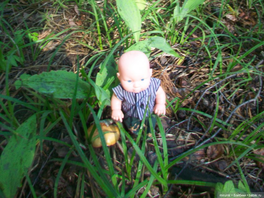 Дача.Август - 2024 — Игровые куклы разных производителей (Разное): редкие бренды (фото 3)