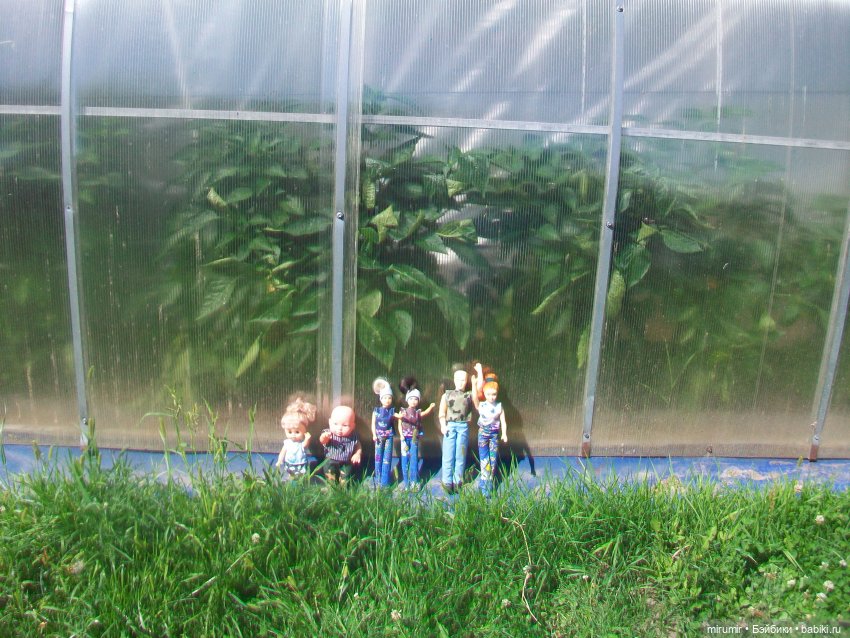 Дача.Август - 2024 — Игровые куклы разных производителей (Разное): редкие бренды