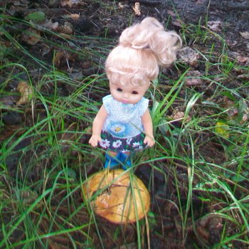 Дача.Август - 2024