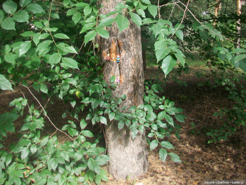 Сентябрь.Парк химиков — Игровые куклы разных производителей (Разное): редкие бренды
