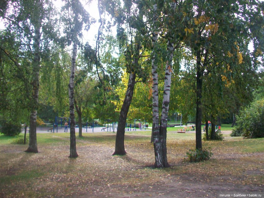 Сентябрь.Парк химиков — Игровые куклы разных производителей (Разное): редкие бренды