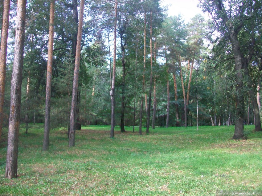 Сентябрь.Парк химиков — Игровые куклы разных производителей (Разное): редкие бренды