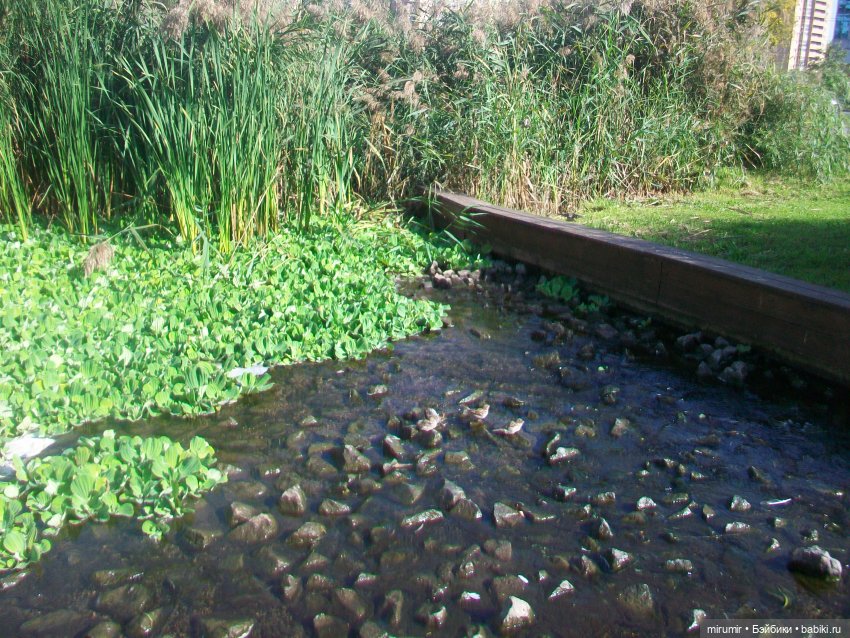 Наше озеро осенью — Игровые куклы разных производителей (Разное): редкие бренды