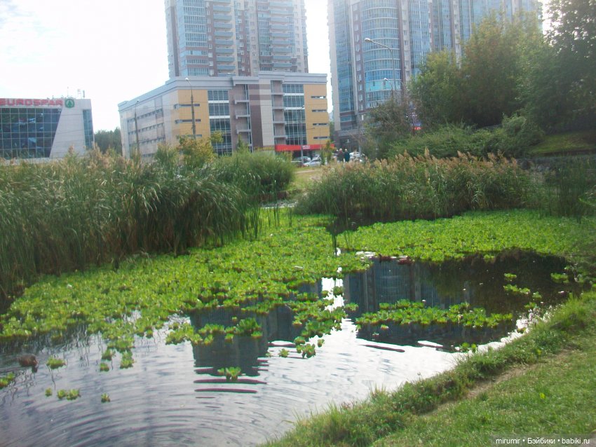 Наше озеро осенью — Игровые куклы разных производителей (Разное): редкие бренды