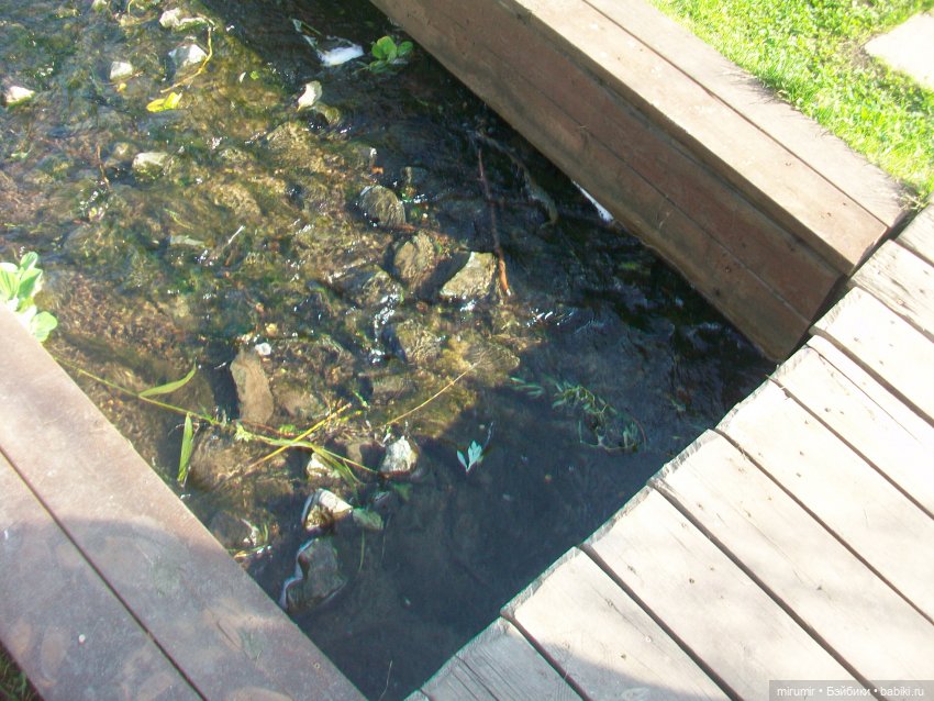 Наше озеро осенью — Игровые куклы разных производителей (Разное): редкие бренды