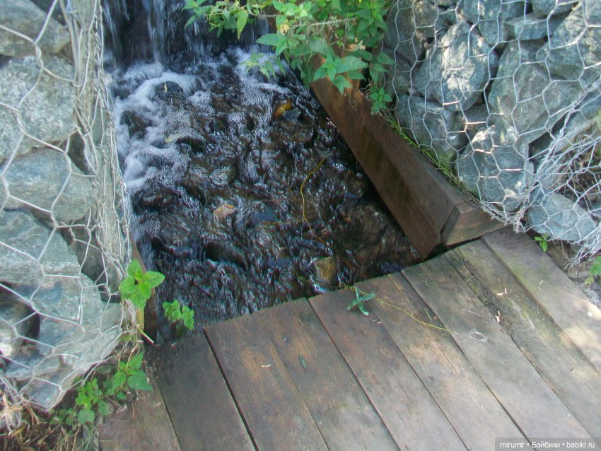 Наше озеро осенью — Игровые куклы разных производителей (Разное): редкие бренды