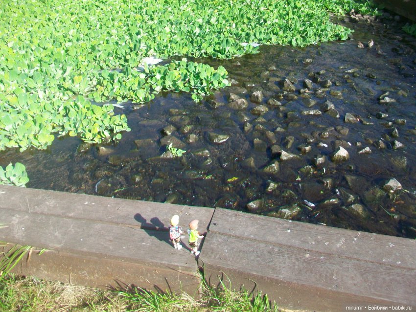 Наше озеро осенью — Игровые куклы разных производителей (Разное): редкие бренды