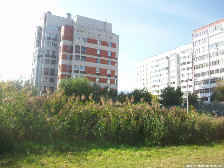 Наше озеро осенью — Игровые куклы разных производителей (Разное): редкие бренды