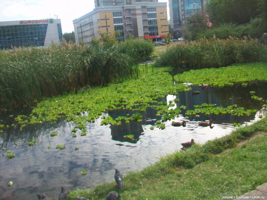 Наше озеро осенью — Игровые куклы разных производителей (Разное): редкие бренды