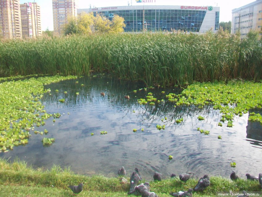 Наше озеро осенью — Игровые куклы разных производителей (Разное): редкие бренды