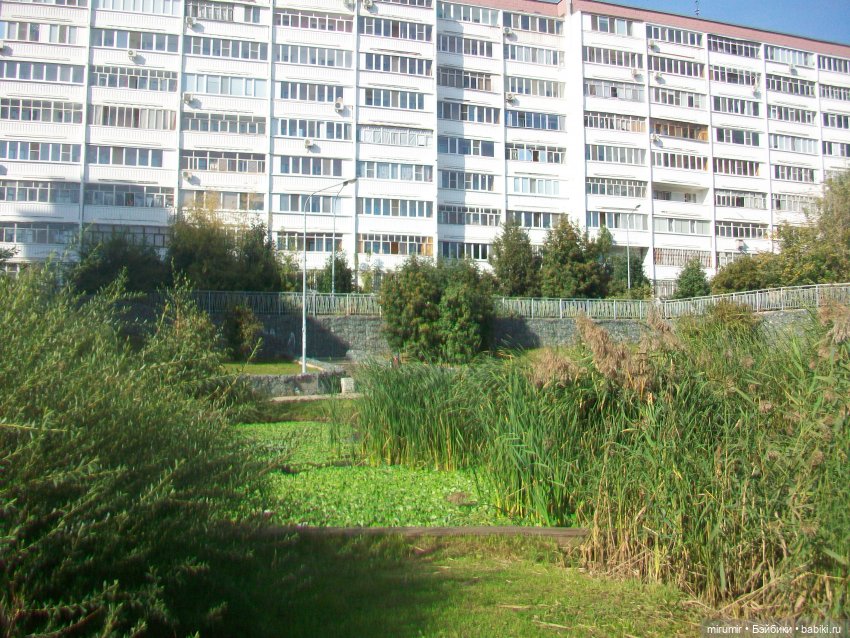 Наше озеро осенью — Игровые куклы разных производителей (Разное): редкие бренды