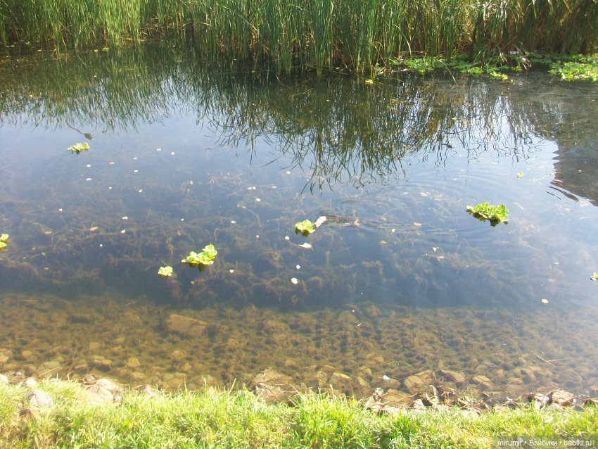 Наше озеро осенью — Игровые куклы разных производителей (Разное): редкие бренды