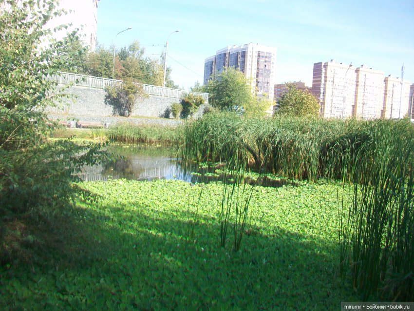 Наше озеро осенью — Игровые куклы разных производителей (Разное): редкие бренды